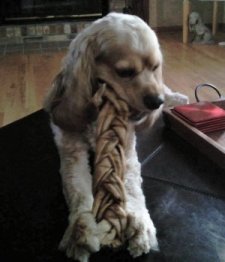 braided rawhide dog chews
