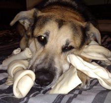 american made rawhide bones